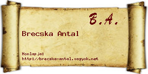 Brecska Antal névjegykártya