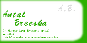 antal brecska business card